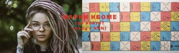 дмт Новозыбков