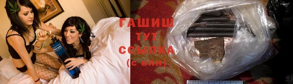 дмт Новозыбков