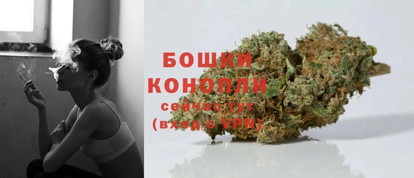 дмт Новозыбков