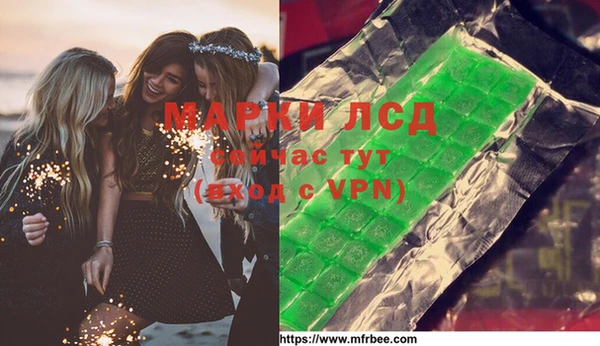 дмт Новозыбков