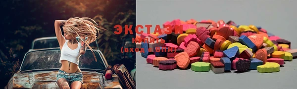дмт Новозыбков
