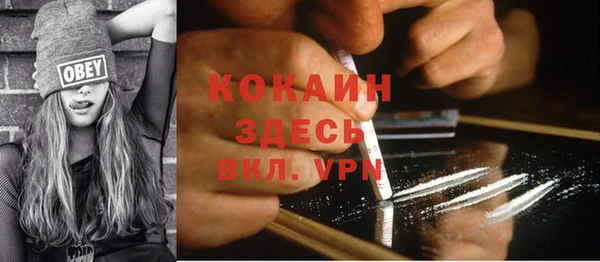 дмт Новозыбков