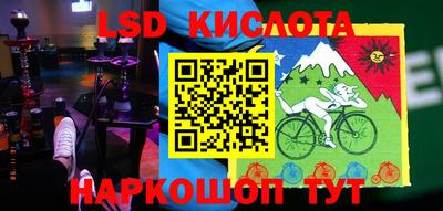 гашик Берёзовский