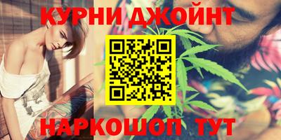 гашик Берёзовский