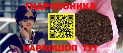 скорость Бийск