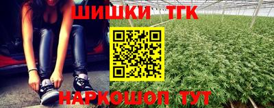 гашик Берёзовский